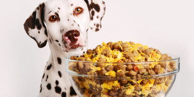 Heimtierbedarf Heimtierbedarf