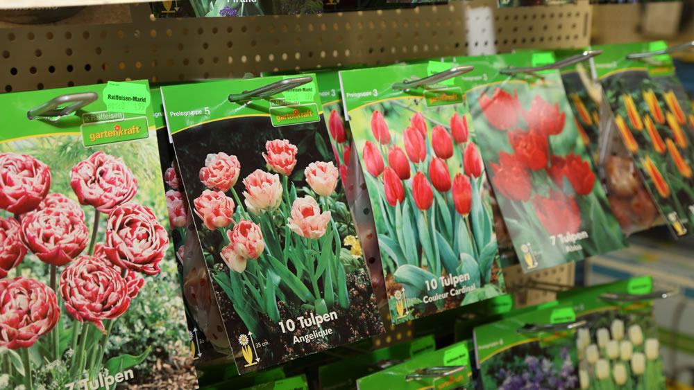 Saatgut und Pflanzenzubehör Saatgut und Pflanzenzubehör